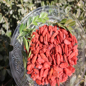 ตัวอย่างราคาต่ำสุดของธรรมชาติ Dried Goji Berry