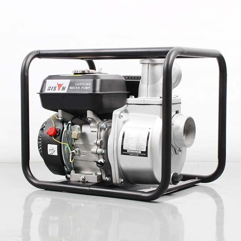 BISON(CHINA) 3inch Gasoline Water Pump WP30