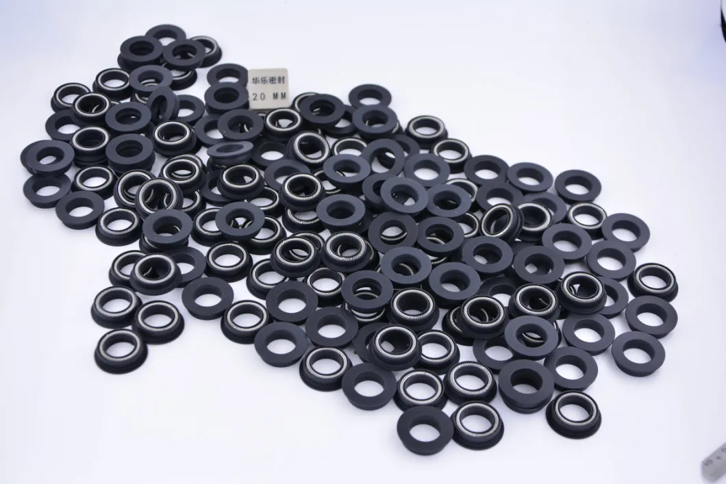 PTFE Spring Energized Seals for Hot Melt Glue Dispenser