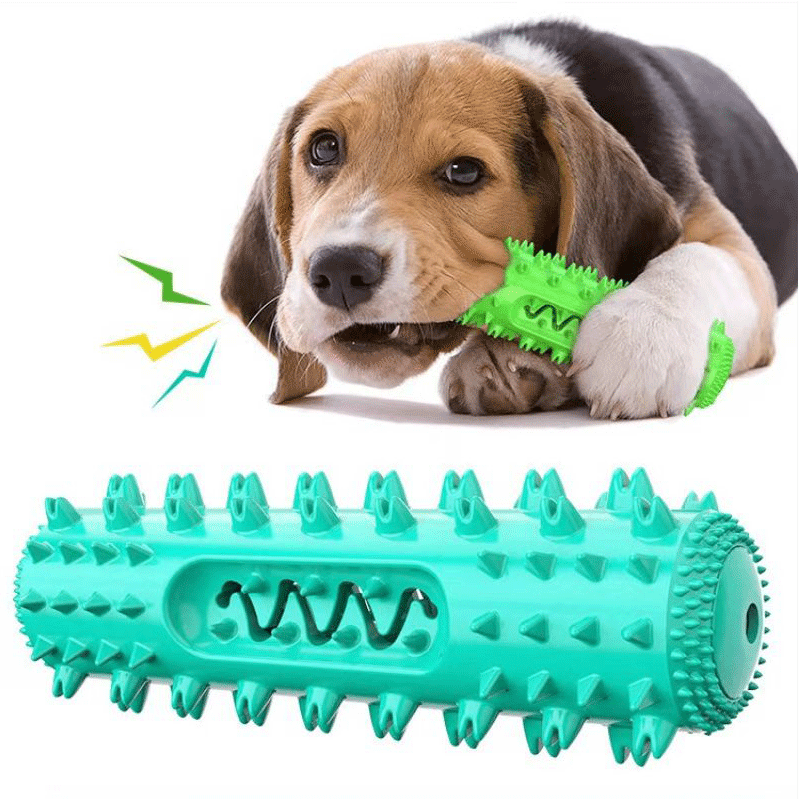 صدا سازی اسباب بازی های جویدن حیوانات خانگی ساخت اسباب بازی های جویدن حیوانات خانگی sound making pet chewing toysound making pet chewing toy