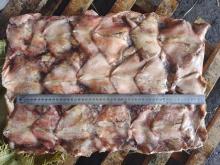 Frozen Squid Leftover Wing Dosidicus Gigas 500-1000g