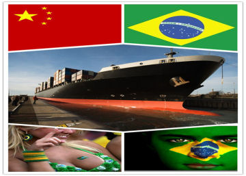 Asuncion, Paraguay For Shipping Agency To Brazil Lcl / Fcl