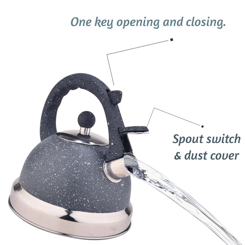 Grey Frosted Stainless Steel Whistling Tea Kettle