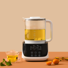 Home Use Electric Instant Heat Water Kettle