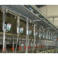 High efficency milking parlor