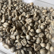 Yunnan Sarchimor Coffee Beans