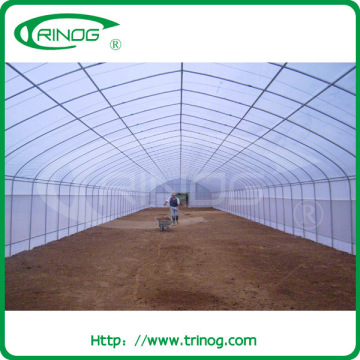 vegetable tunnel greenhouse used greenhouse