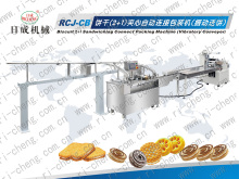Biscuit Production Line Associated Equipment (RCJ-CBV)