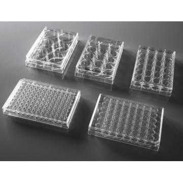 Plaque de culture cellulaire NEST 6 - 384 puits