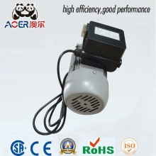 Drive Electric Motor 250W AC AMP