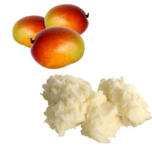 Refined Mango Butter for Creams Lotions Balms Soap