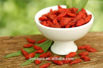 NingXia Goji Berry machine clean Dried berry