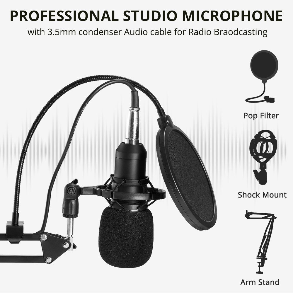 Wholesale Price Wired Bm800 Recording Condenser Microphone