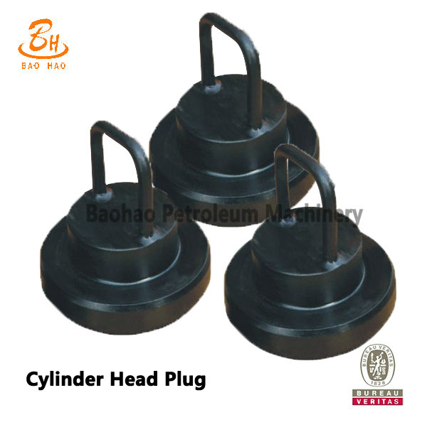 Cylinder Head Plug