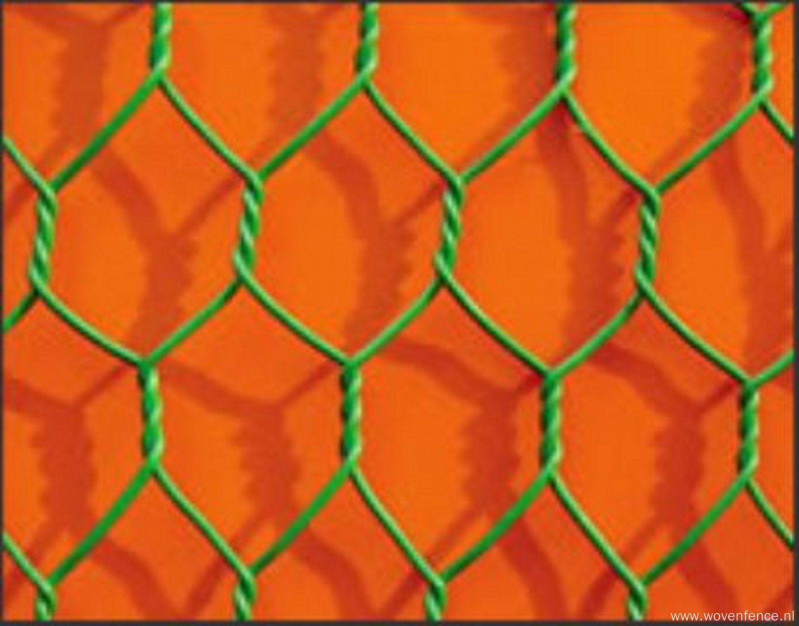 Hexagonal wire mesh with reinforce wire