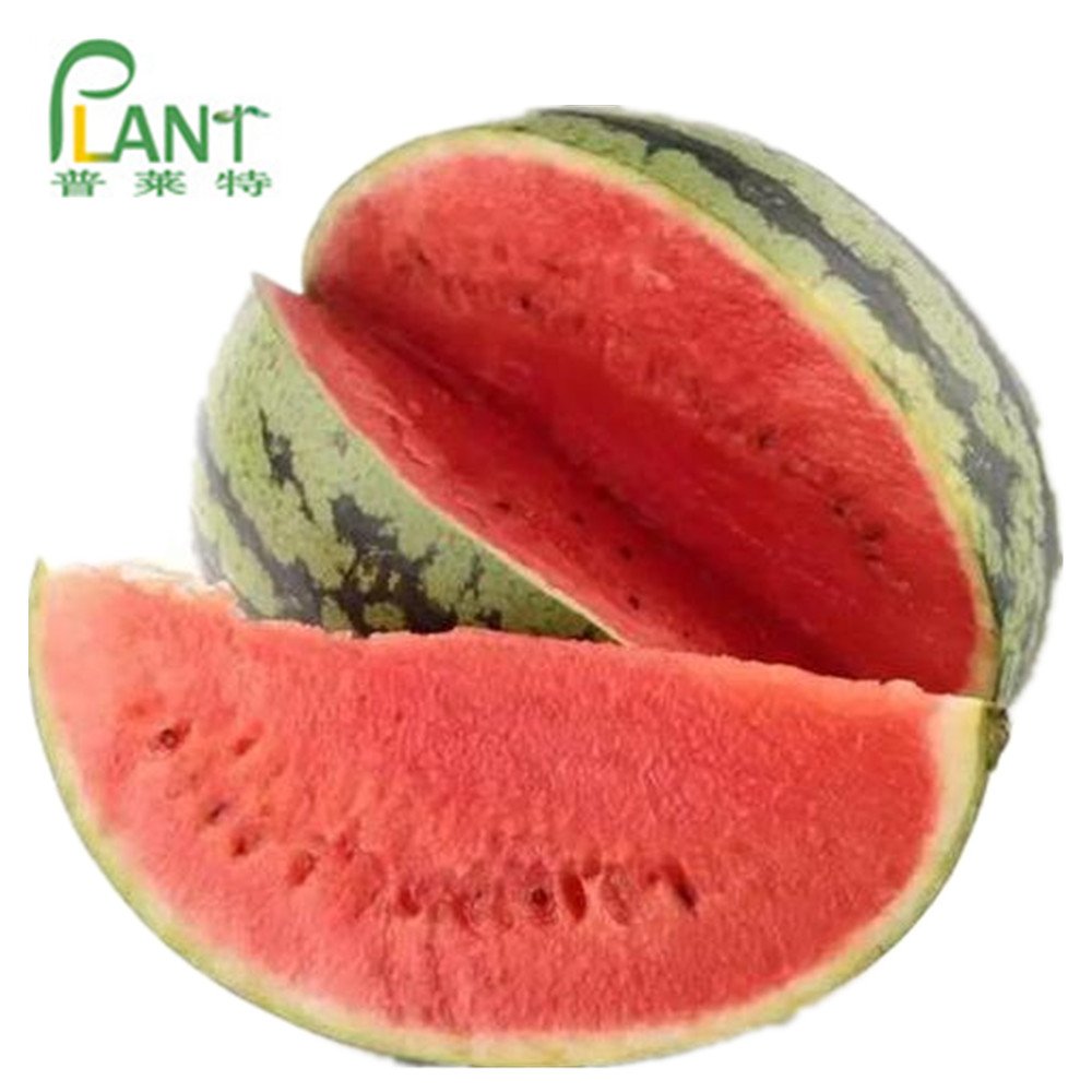 100 Water Solubility Raw Beverage Powder Watermelon Rind Extract