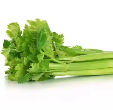Vegetable Celery Extract Celery Powder