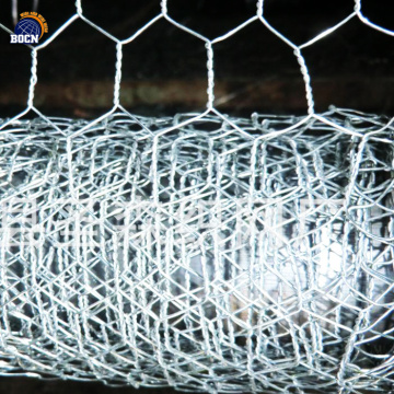 1/4" hexagonal wire mesh