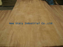 okoume,keruing,mersawa,pencial cedar