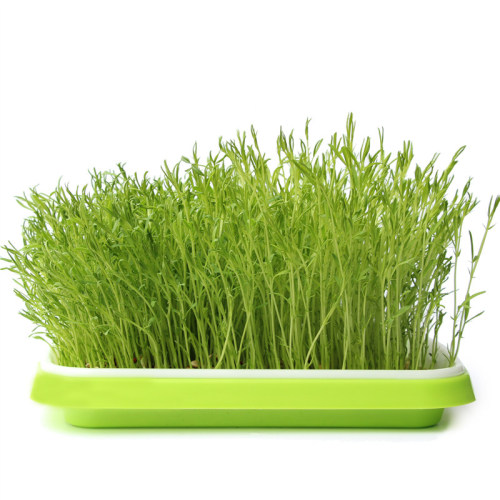 Iniciador de plántulas Starter Hydroponic Microgreens Grow Bandeja en venta