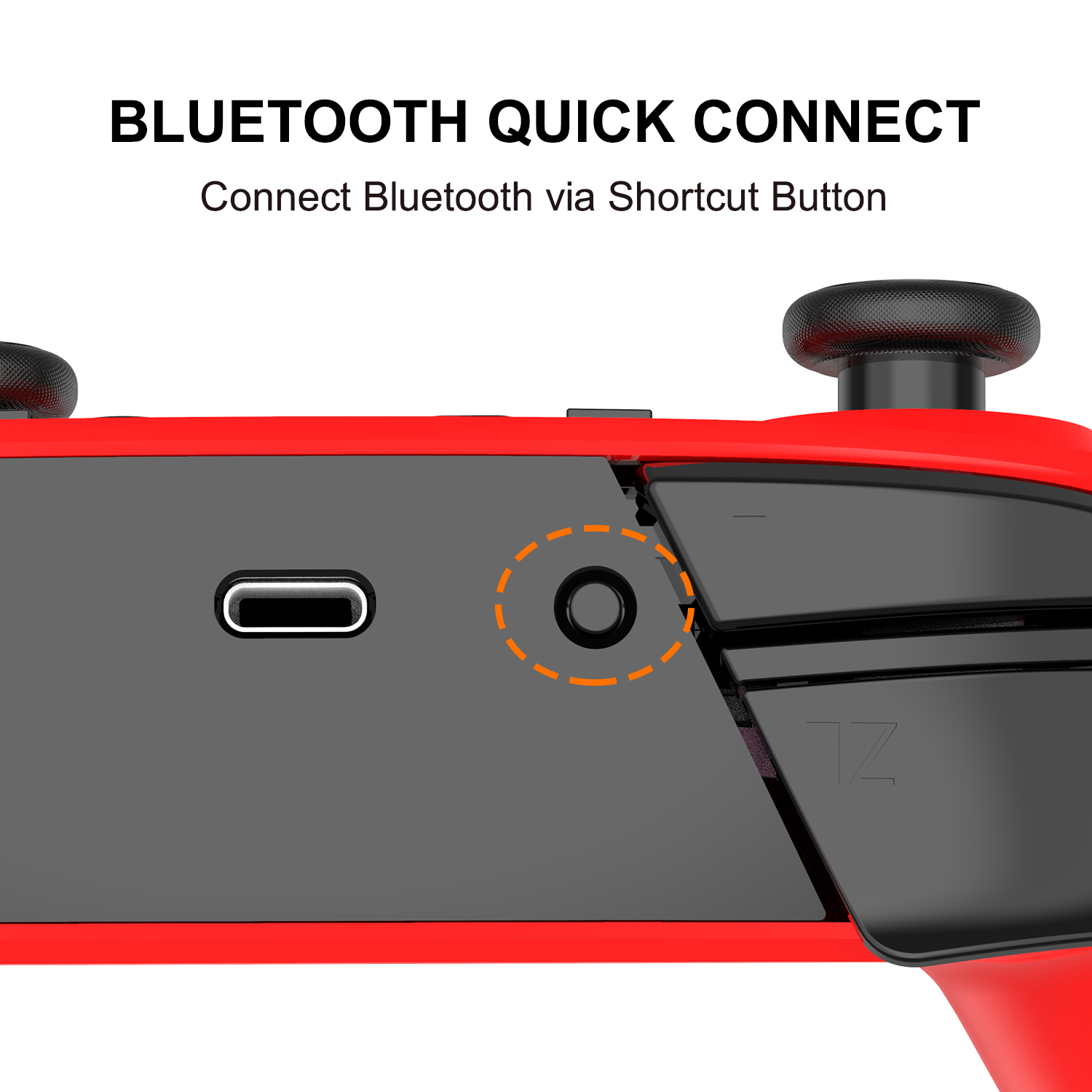 Nintendo Switch controller