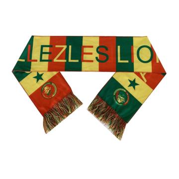 custom logo printed sport scarfs football scarf