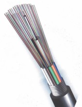 24 Core GYFTA/GYTA Cable