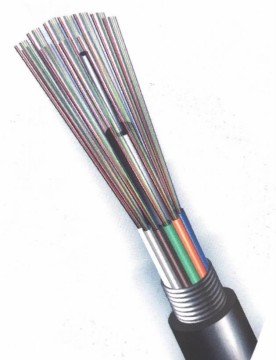 24 Core GYFTA/GYTA Cable