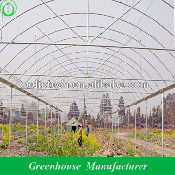 12m wide span greenhouse