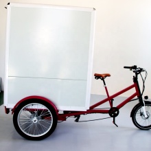 Electric Trike Delivery Services for Household Freight and Cargo Transport