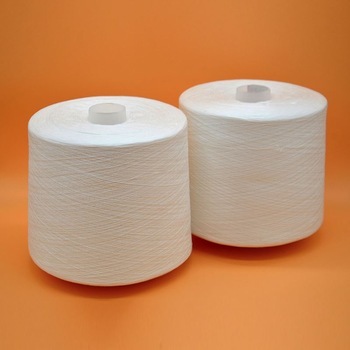 Anti-Bacteria Moisture-Absorbent Polyester Thread