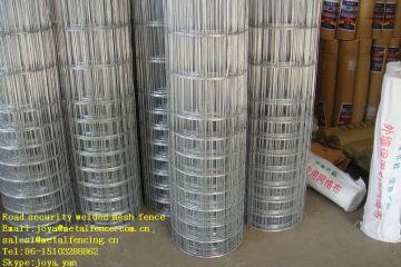 Farm security 2.5mmx20x20 20x40 two kind mesh fence