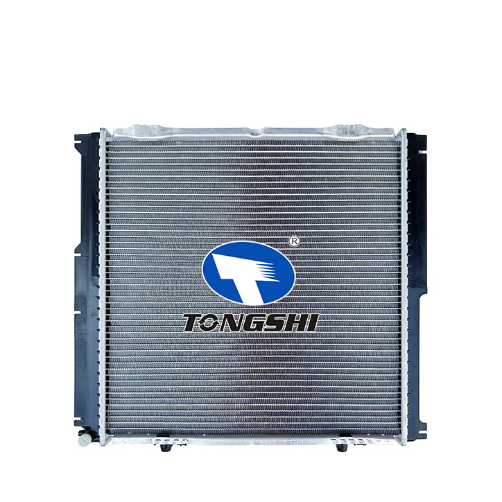 Radiator for Benz E-CLASS W124 E200, OE 1245006202/1245006303 Radiator for Benz E-CLASS W124 E200, OE 1245006202/1245006303