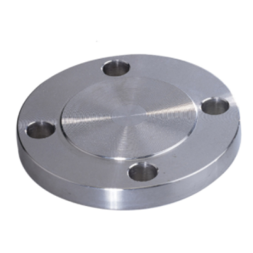 Serviço OEM de flange fundida SS 316