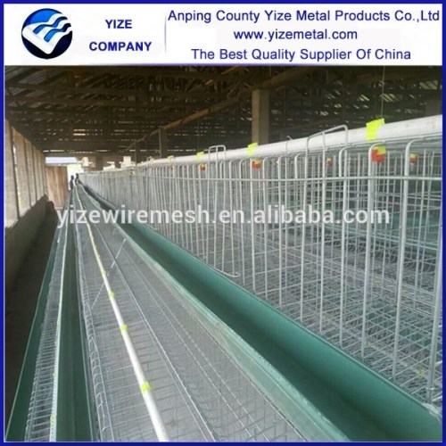 Automatic egg collection equipment A type small animal transport cage