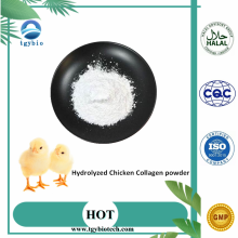 Colágeno de pollo hidrolizado halal antienvejecimiento y blanqueamiento