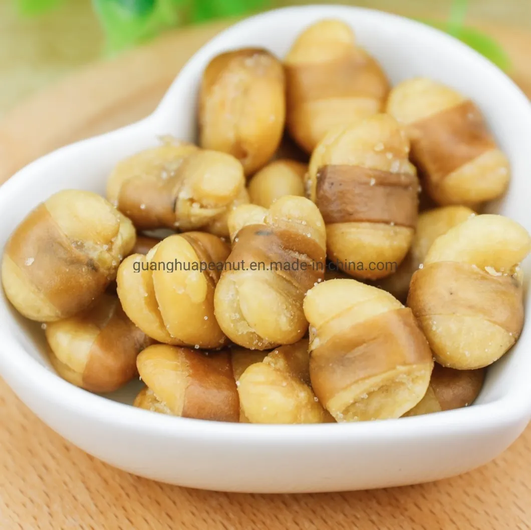 Crunchy and Delicious Fried Broad Beans Snack Food