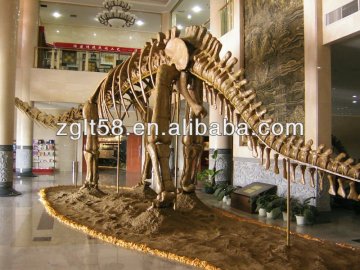 Museum quality dinosaur fossils for sale