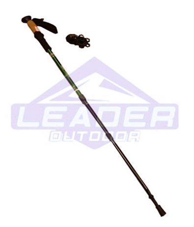 DL-ETS-3032 Walking Stick