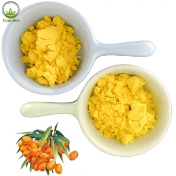 wholesale quality Sea buckthorn Juice Powder