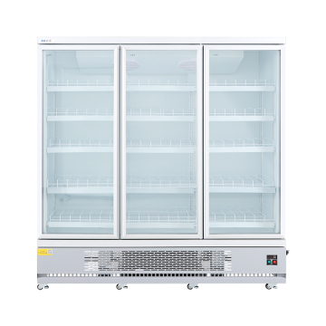 Double Upright Transparent Glass Door Display Freezer