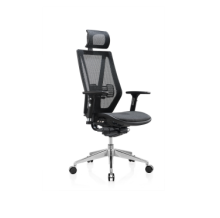 Ergonomic Executive Office Chair with Lumbar Support