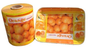 In-Mould Label for Dish