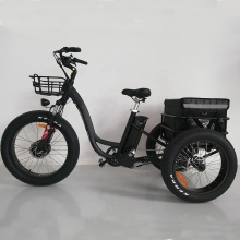 3 Wheeler Electric Trike: Fat Tire Easy Rider Electric Bicycle