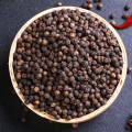 Black pepper extract 10% piperine