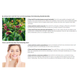 Pure natural clove leaf essential oil for teeth