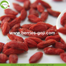 Pasokan Pabrik Kering Malaysia Goji Berries