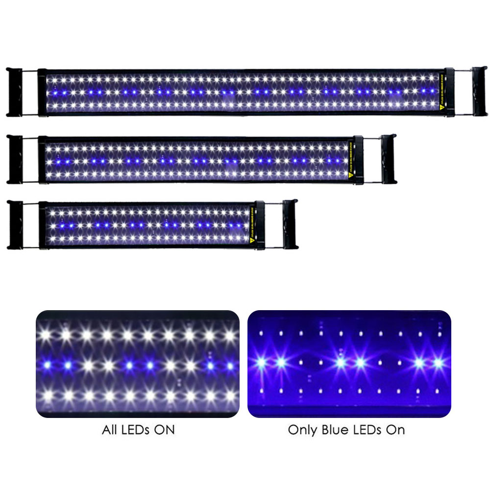 aquarium led light white blue