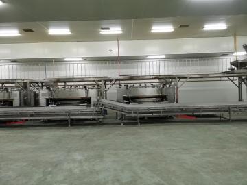 Coated Cashew Production Line