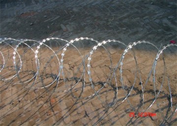 Razor Blade Circular Flat Mesh